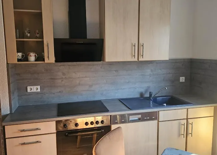 Lägenhet Neu! Og Rechts Elsteraue